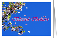 Blessed Beltane...