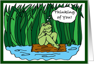Thinking of You Cartoon Frog on a Log card
