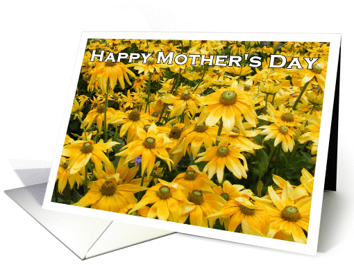 Happy Mother's Day Garden of Yellow Flowers card (894222)