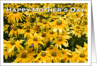 Happy Mother’s Day Garden of Yellow Flowers card