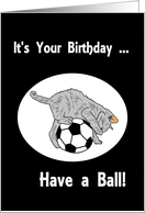 Birthday Kitten with Ball card