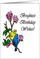 Brightest Birthday Wishes Song Birds card