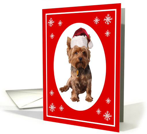 Christmas Yorkshire Terrier Dog in a Santa hat card (966203)