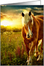 First Light Belgian Horse Sunrise card