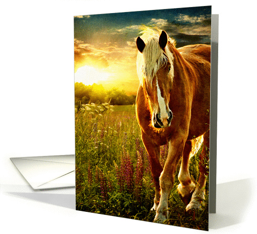 First Light Belgian Horse Sunrise card (832972)