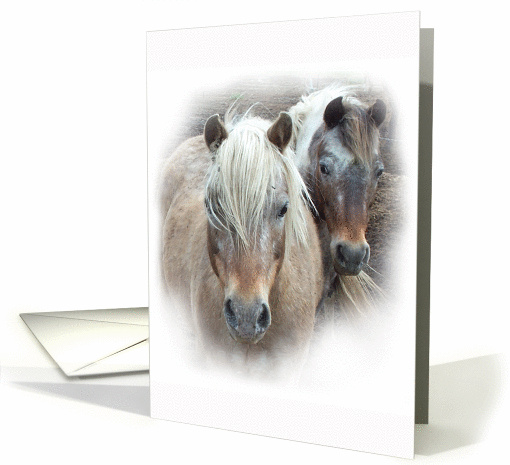 Two Pretty Ponies standing quietly in the Kansas breezes card (867292)