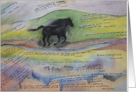 Healing Horse card