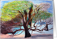 Tree Of Life card