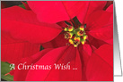 Red Pointsettia Christmas Wish Holiday Greeting card