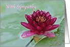 Sister Sympathy Wine Colored Waterlily Time of Loss of Husband card