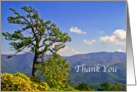 Blue Ridge Thank You Card