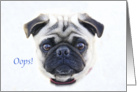 Belated Birthday Pug Card