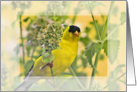 Gold Finch on Lemon Balm Blank Note Card