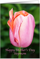 Happy Mother’s Day StepMom Card