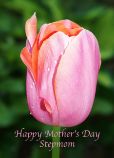 Happy Mother's Day...