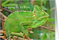 Lizard Happy 10th Birthday card