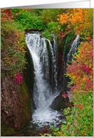 Waterfall In Autumn Blank Note Card