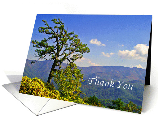 Blue Ridge Thank You card (800372)