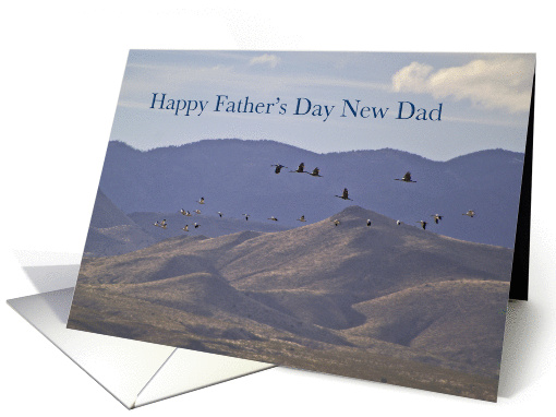 Happy Father's Day New Dad card (816189)