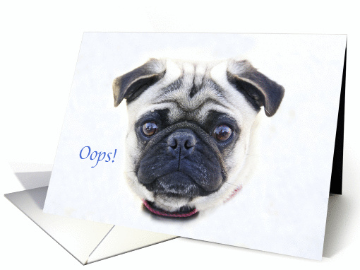 Belated Birthday Pug card (827157)