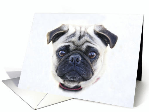 Pug Sad Blank Note card (835754)
