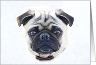 Pug Sad Blank Note Card