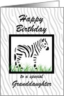 Zebra Art - for Granddaughter birthday card