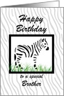 Zebra Art - for Brother birthday card