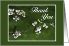 Thank You card - Dogwood blossoms - Floral card