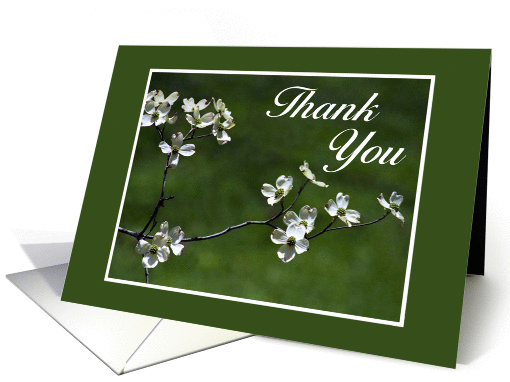 Thank You card - Dogwood blossoms - Floral card (941559)