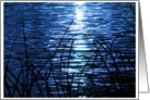 Moonlight On The Cape Fear card