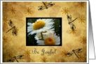 Be Joyful Daisies & Dragonflies card