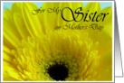 For My Sister Mother’s Day Yellow Gerber Daisy card