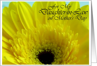 For My Daugher-in-Law on Mother’s Day Yellow Gerber Daisy card