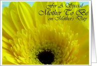 For A Special Mother to Be on Mother’s Day Yellow Gerber Daisy card