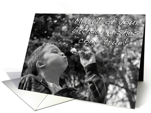 Birthday Wishes, Happy Birthday card (798994)