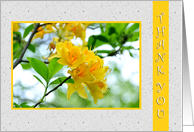 Yellow Flower-Thank You Blank Card