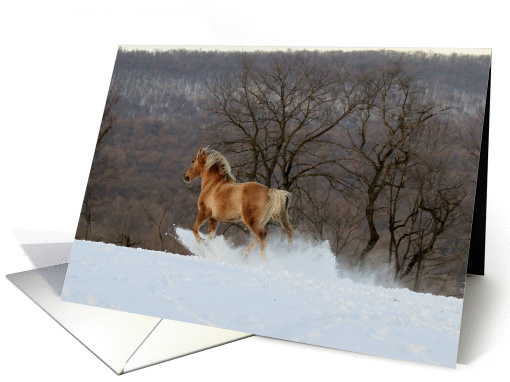 Horse - Shawnee - 2014 card (1362816)