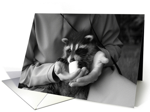 The Marshmallow Raccon BW card (792295)