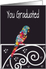 You Graduated,multi colored parrot on rail, knew you were bright, card