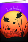 Kidney transplant recovery, new dawn, orange sunrise, poppies, bird, card