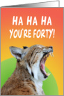 40th birthday wildcat screaming,ha ha ha, you’re forty,orange,green, card
