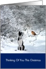Christmas collie and robin in snow, thinking of you this christmas, card