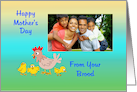 Mother’s day photo card from the brood, hen & chicks card