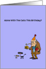 Birthday alone with cats, not a catastrophe,not gone to the dogs humor card