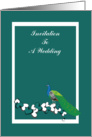 Peacock, teal wedding invitation,bird, hearts within white frame, card