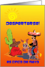 Despierta! Es Cinco de Mayo, Mexican holiday greetings, in Spanish, card