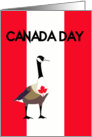 Canada Day, Canada goose, maple lea, Canadian flag stripes card