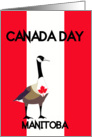 Manitoba Canada Day, Canada goose, maple leaf, flag colors, card