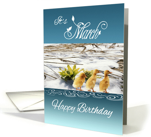 March birthday, ducklings, melting snow, growth, Spring,... (1003599)